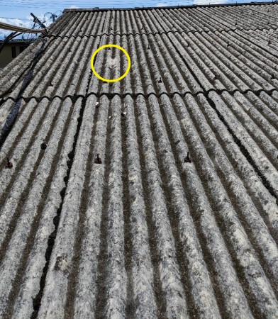 波型スレートの雨漏り調査　穴あき